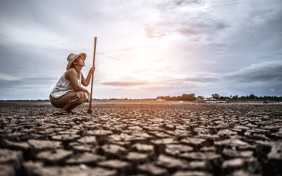 Los expertos recomiendan integrar la salud mental en los debates sobre clima y salud en la COP29