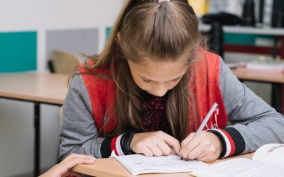 Las competencias socioemocionales son la base del bienestar y el rendimiento académico