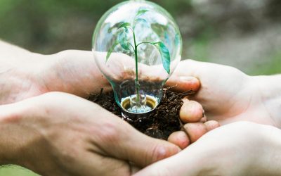 Un estudio destaca el impacto de la contaminación del aire y el cambio climático en la salud mental