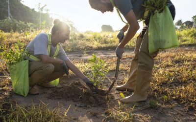 Intervenciones psicológicas eficaces para mejorar la salud mental de los agricultores