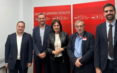 El COP y el PSOE analizan la situación de la Psicología en el ámbito sanitario