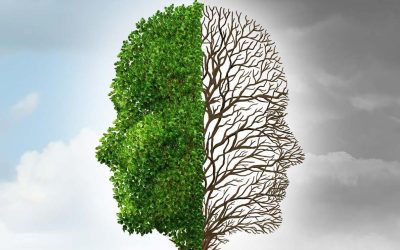 Guía de ayuda psicológica para niños, niñas y adolescentes afectados por la DANA