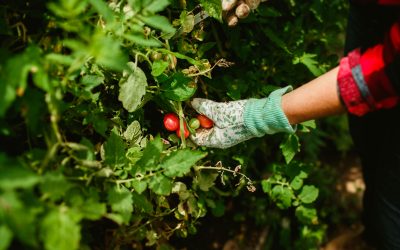 Beneficios de aplicar la psicología ambiental a los TCA