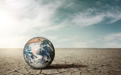 Profesiones colegiadas españolas refuerzan su compromiso frente al cambio climático