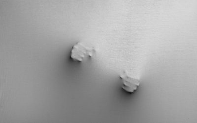 El 40% de las llamadas al 024 reflejan riesgo medio-alto de suicidio con ideación frecuente y alto malestar psicológico