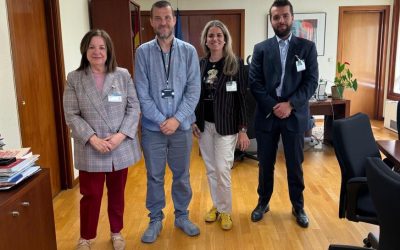 El COP traslada al Ministerio de Sanidad su preocupación por el intrusismo profesional y el uso de la IA en salud mental