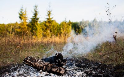 Pautas psicológicas para hacer frente a las consecuencias de los incendios en España
