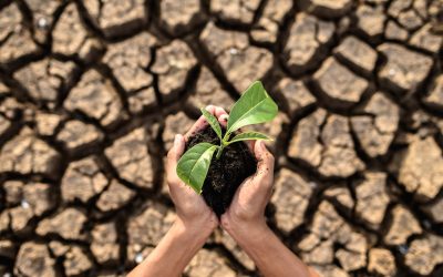 El cambio climático deteriora la salud social y debilita la capacidad colectiva para afrontar sus efectos