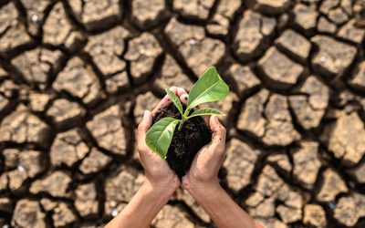 La Psicología aporta claves para afrontar el cambio climático, con motivo de su Día Mundial