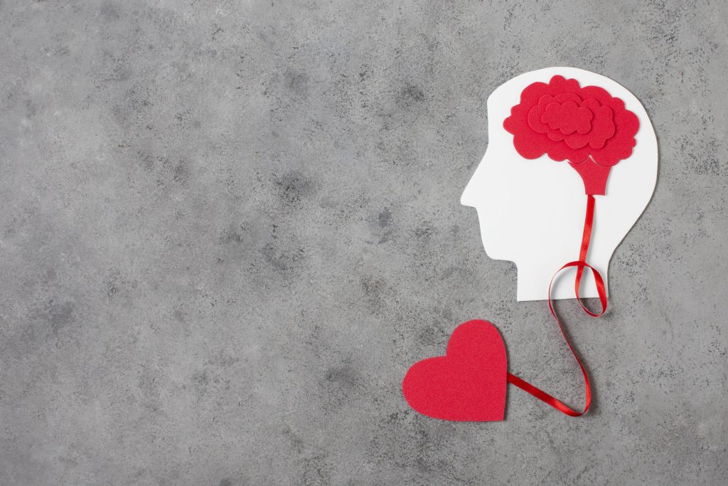 corazón y cerebro unidos